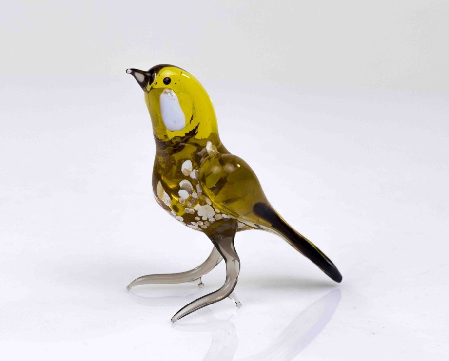 Loranto + Bruine vogel